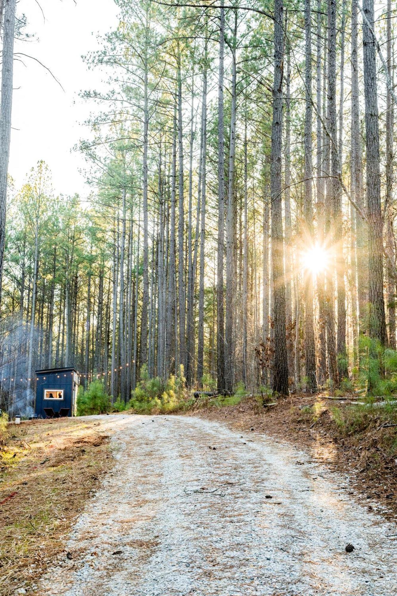 Villa Pine Creek Tiny House Amherst Esterno foto