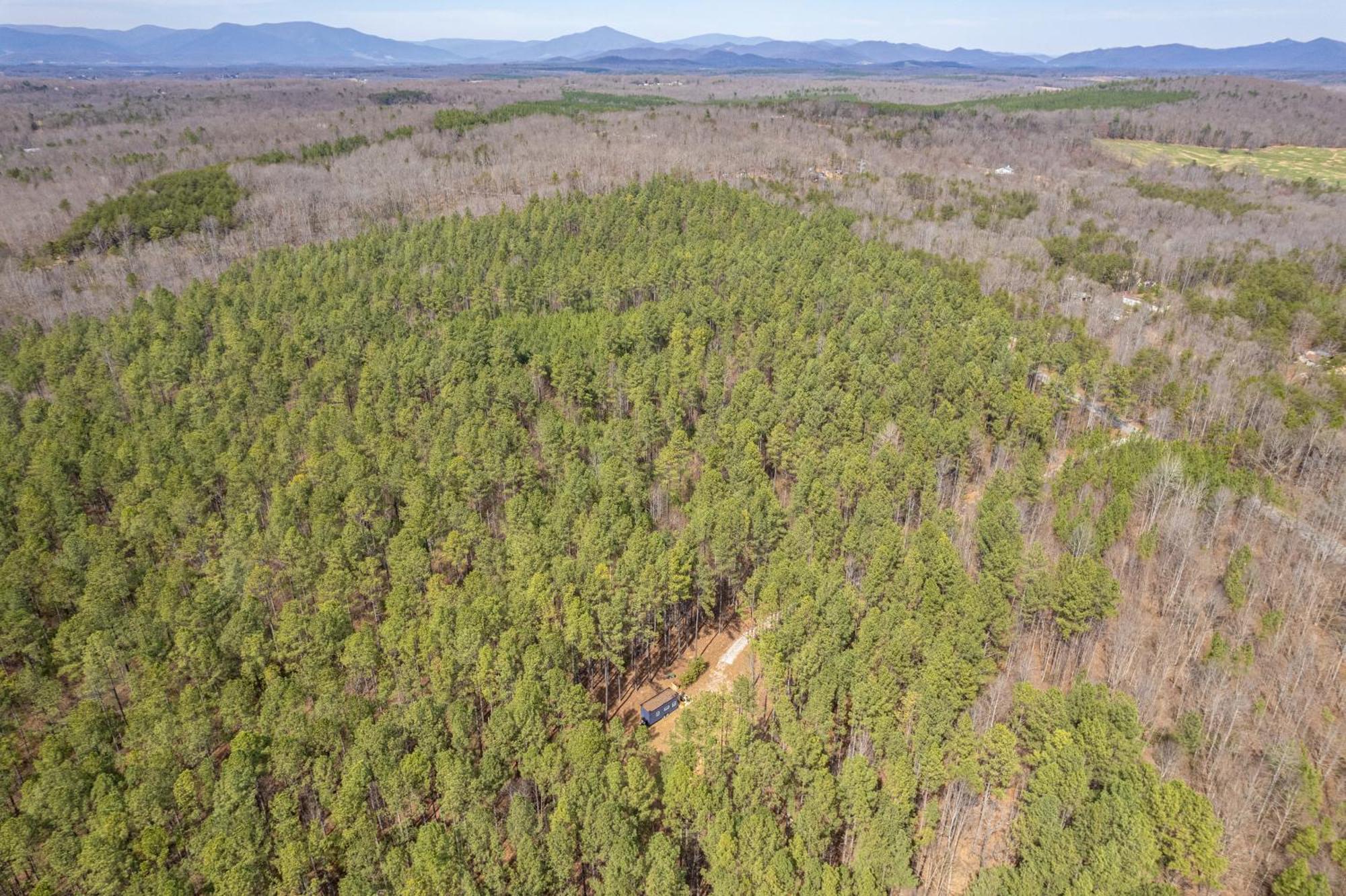 Villa Pine Creek Tiny House Amherst Esterno foto